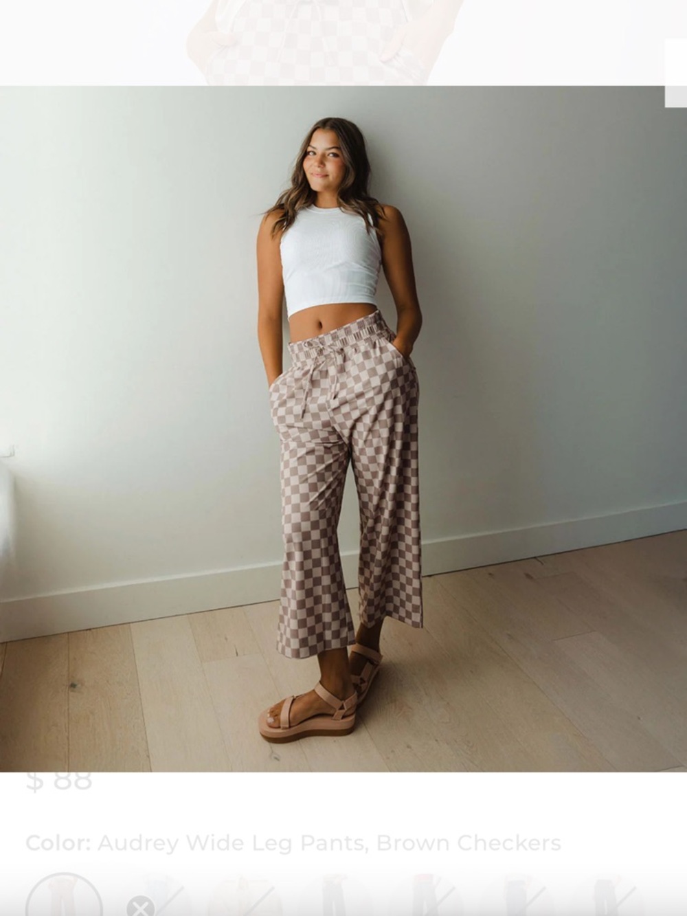 Albion Audrey Wide-Leg Checker Pants in Brown